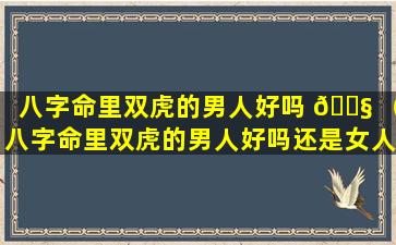 八字命里双虎的男人好吗 🐧 （八字命里双虎的男人好吗还是女人）